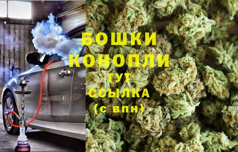 Бошки марихуана White Widow  Жигулёвск 